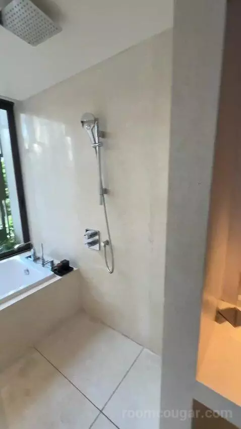 Terrace Suite bathroom picture #2