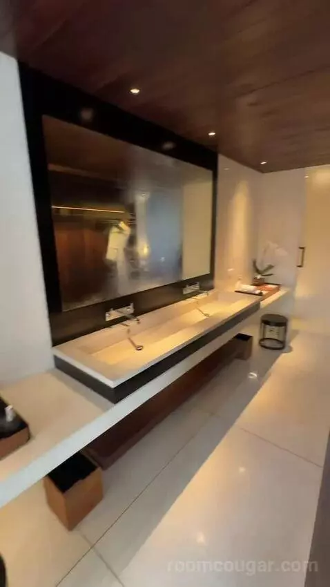 Terrace Suite bathroom picture #9