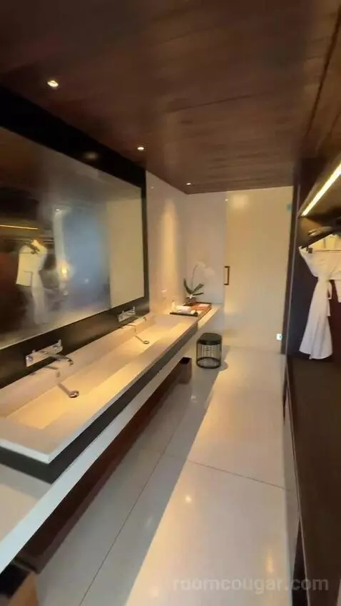 Terrace Suite bathroom picture #12