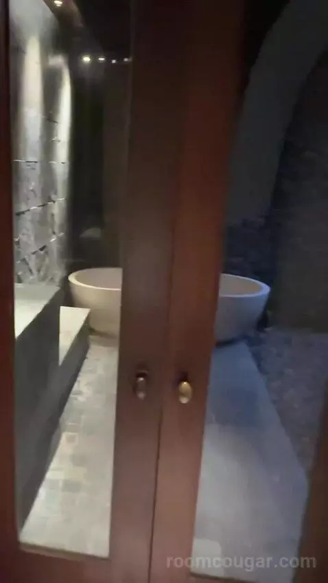 Deluxe King Room bathroom picture #6