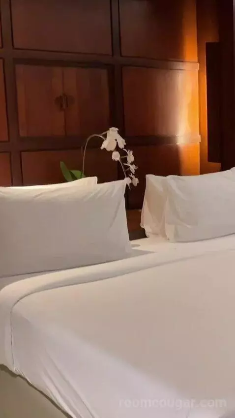 Deluxe King Room bed picture #3