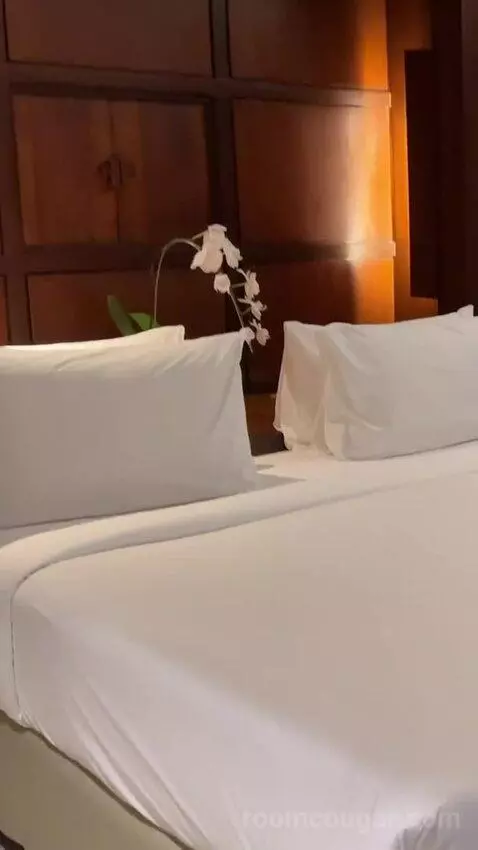Deluxe King Room bed picture #4