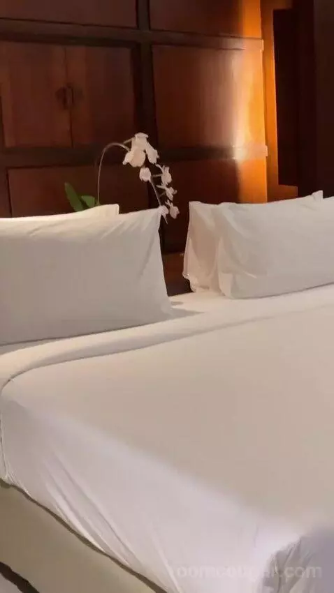 Deluxe King Room bed picture #5