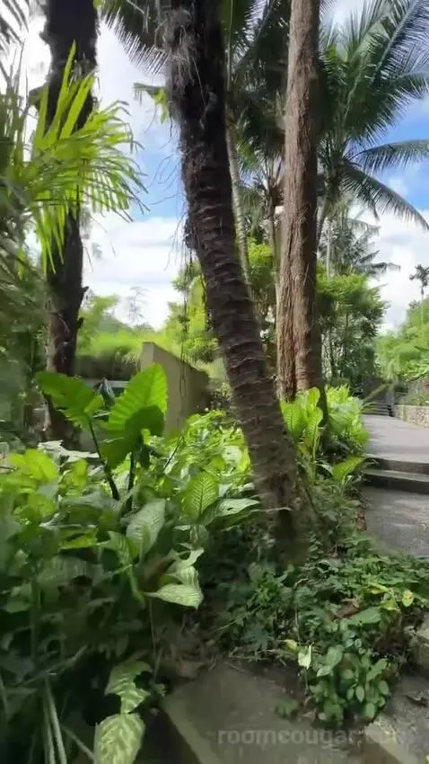 Forest Villa (#504) view picture #4