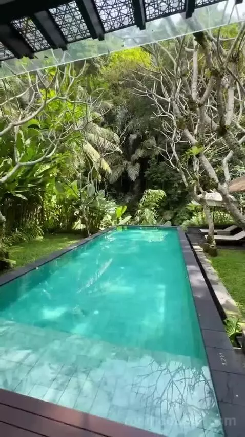 Riverfront Pool Villa, 1 Bedroom Villa, 1 King, Riverfront (#15) view picture #9