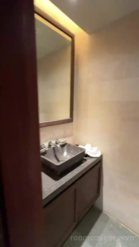 Garden Pool Villa with 2 Twin Beds bathroom picture #3