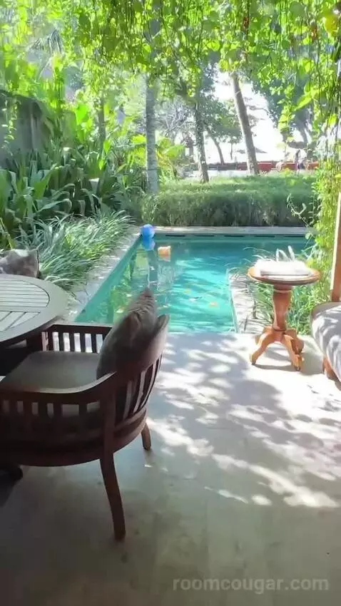 Andaz Suite Lagoon Access with 1 King Bed view picture #6