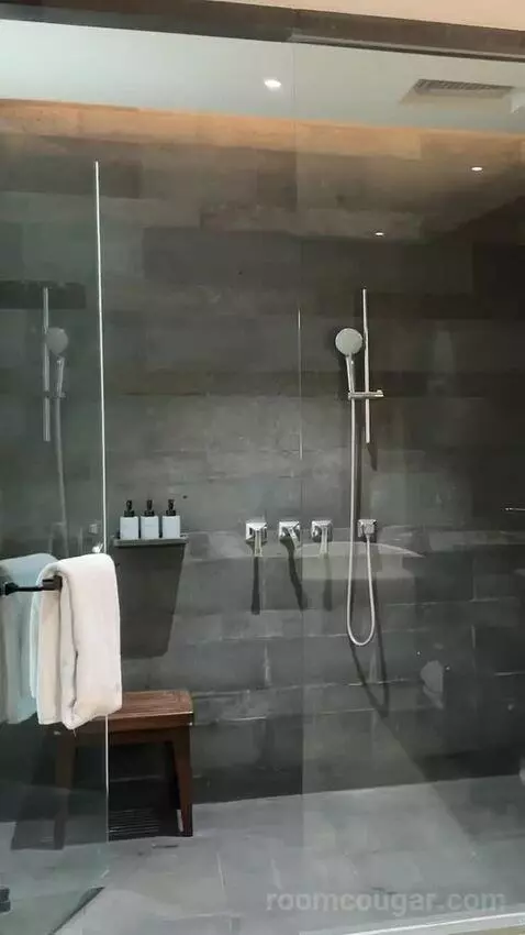 Andaz Suite Lagoon Access with 1 King Bed bathroom picture #7