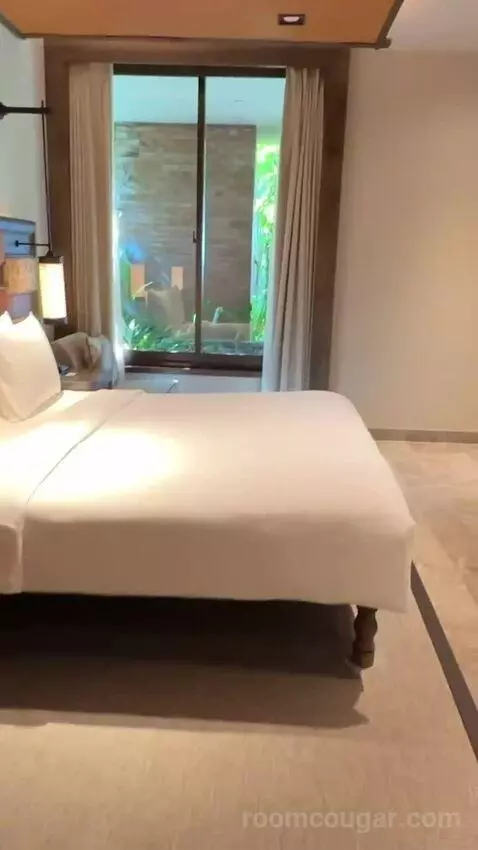 Andaz Suite Lagoon Access with 1 King Bed bed picture #9