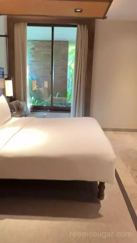 Andaz Suite Lagoon Access with 1 King Bed bed picture #10