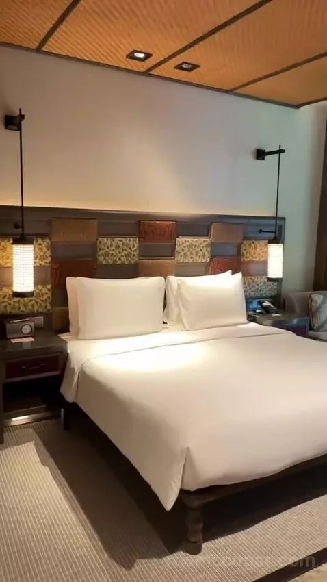 Andaz Suite Lagoon Access with 1 King Bed bed picture #1