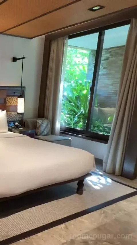 Andaz Suite Lagoon Access with 1 King Bed view picture #4