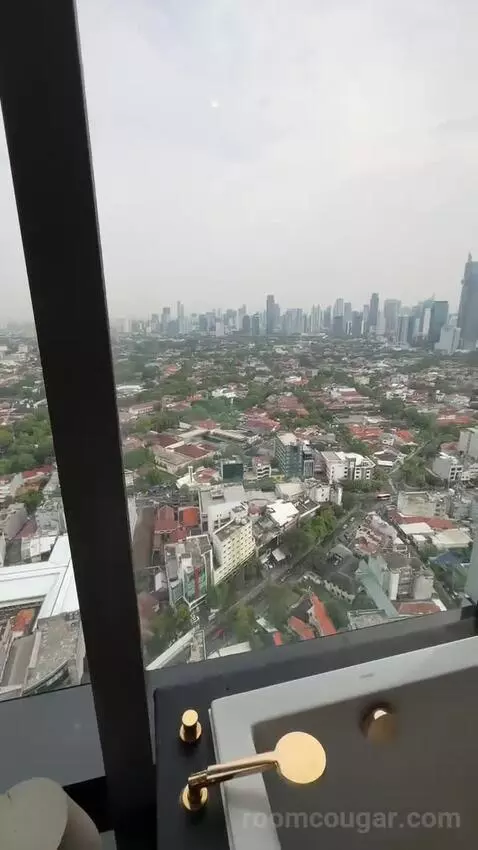 Deluxe Suite view picture #9