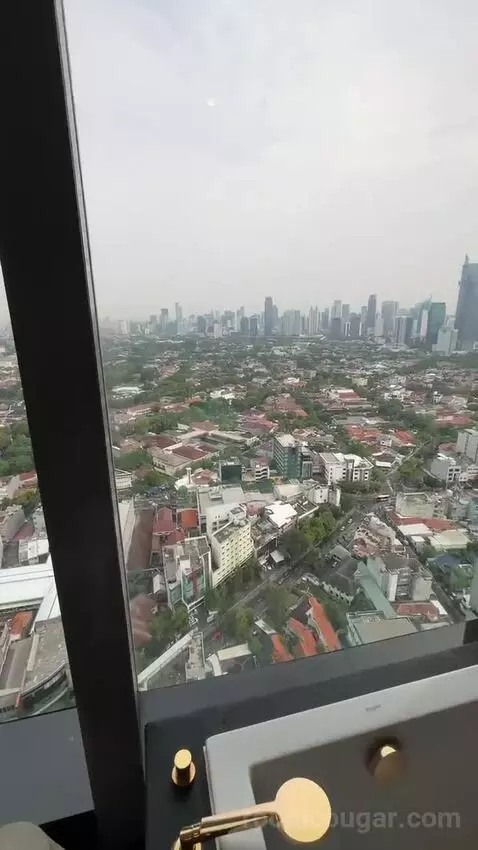 Deluxe Suite view picture #10