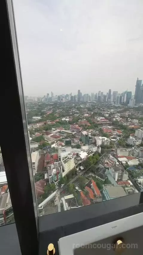 Deluxe Suite view picture #12