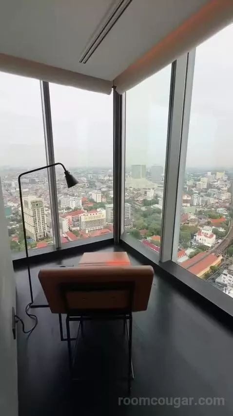 Deluxe Suite view picture #7