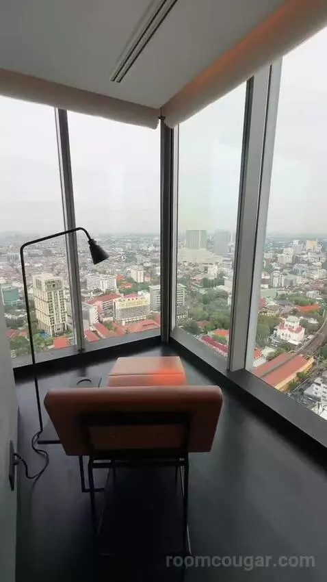 Deluxe Suite view picture #8