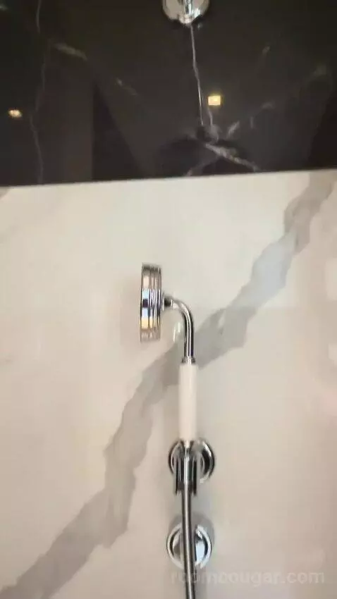 Cool Corner Suite King with City View bathroom picture #10