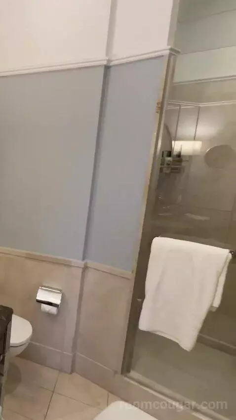 Deluxe Suite, 1 Bedroom Suite, 1 King, City View bathroom picture #5