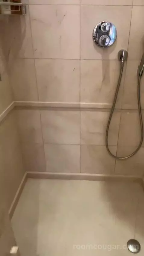 Deluxe Suite, 1 Bedroom Suite, 1 King, City View bathroom picture #7