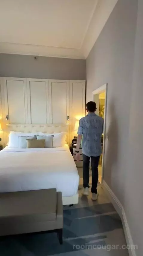 Deluxe Suite, 1 Bedroom Suite, 1 King, City View bed picture #9