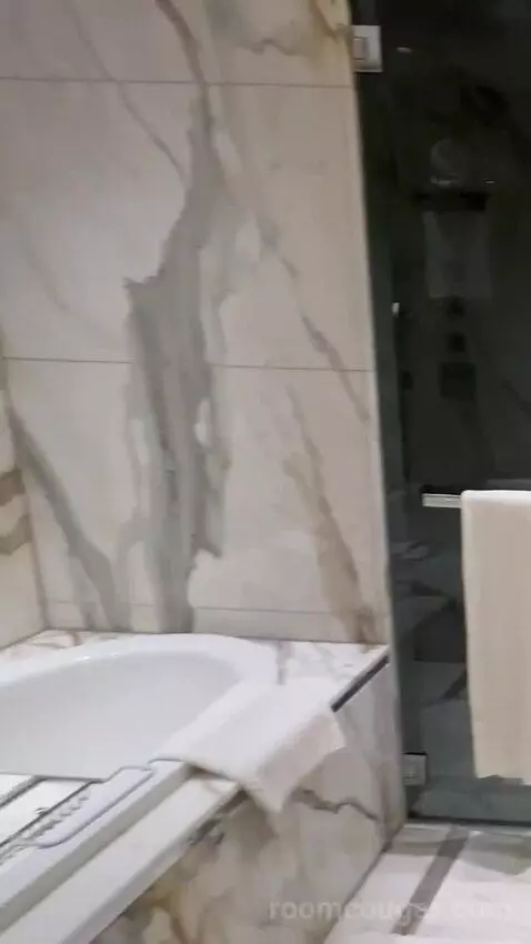 Royal Suite, Club Lounge Access, 1 Bedroom Suite, 1 King bathroom picture #10
