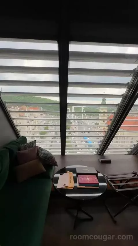 Loft Room Danube View, Guest Room, 1 King, Danube River View picture #21