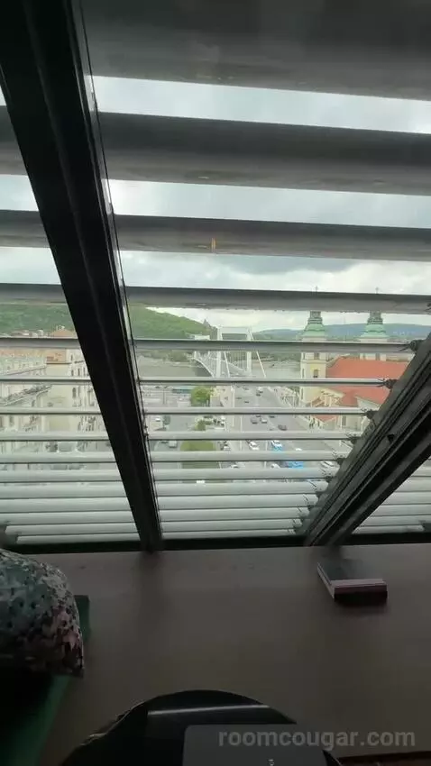 Loft Room Danube View, Guest Room, 1 King, Danube River View picture #22