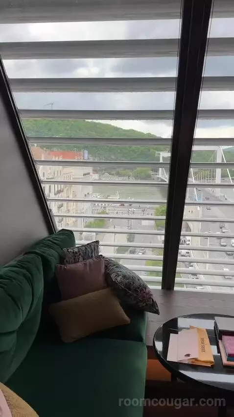 Loft Room Danube View, Guest Room, 1 King, Danube River View picture #5