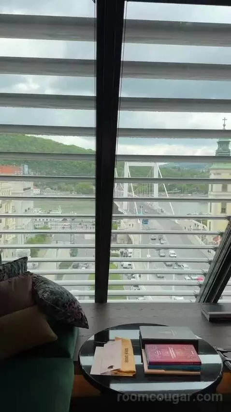 Loft Room Danube View, Guest Room, 1 King, Danube River View view picture #1