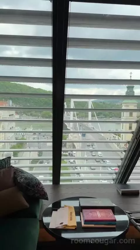 Loft Room Danube View, Guest Room, 1 King, Danube River View view picture #2