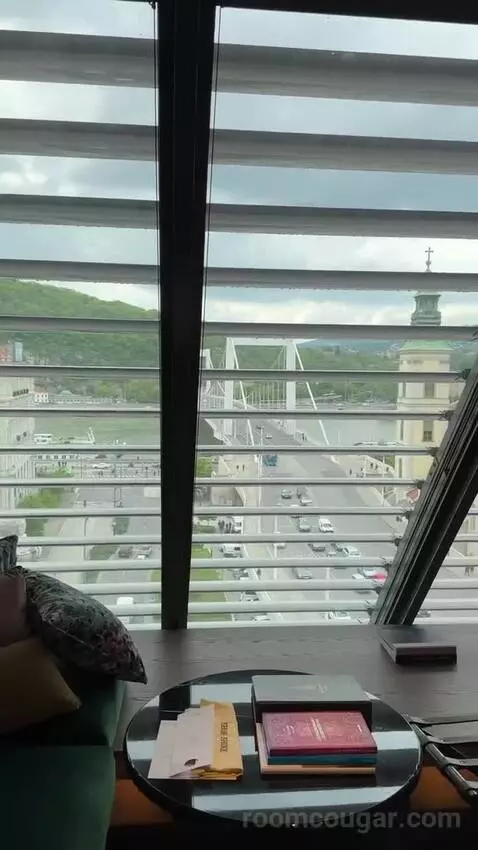 Loft Room Danube View, Guest Room, 1 King, Danube River View view picture #3