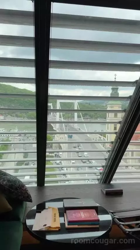 Loft Room Danube View, Guest Room, 1 King, Danube River View view picture #5
