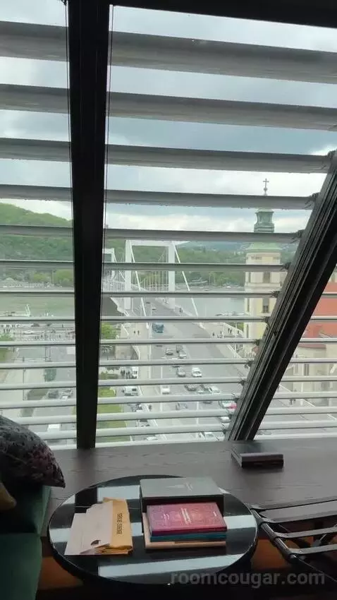 Loft Room Danube View, Guest Room, 1 King, Danube River View view picture #6