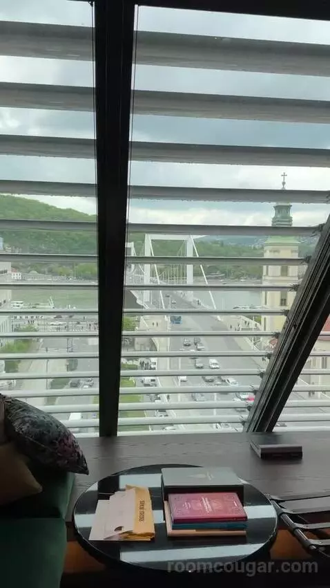 Loft Room Danube View, Guest Room, 1 King, Danube River View picture #6