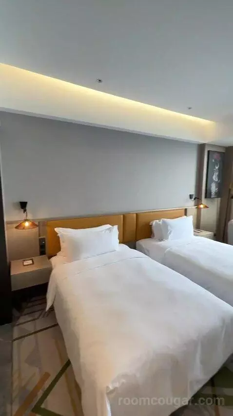 Superior Twin Room bed picture #3