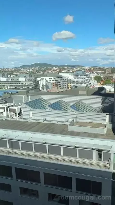 Standard Double or Twin Room view picture #1