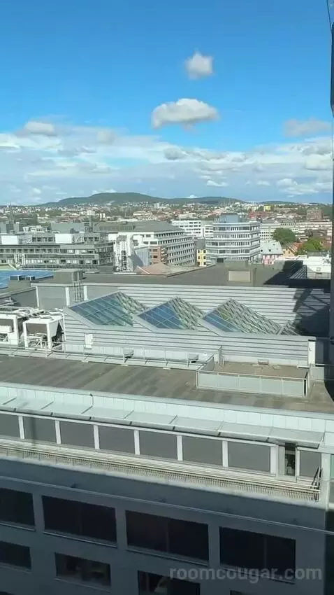 Standard Double or Twin Room view picture #2
