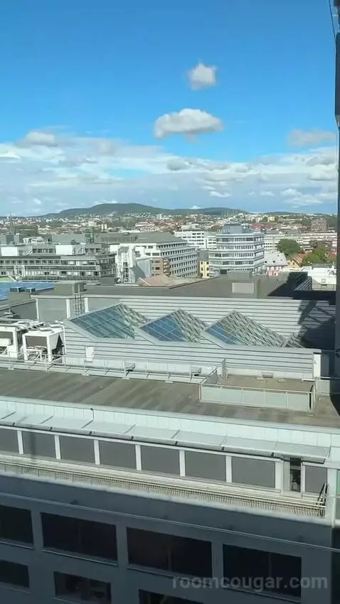 Standard Double or Twin Room view picture #3