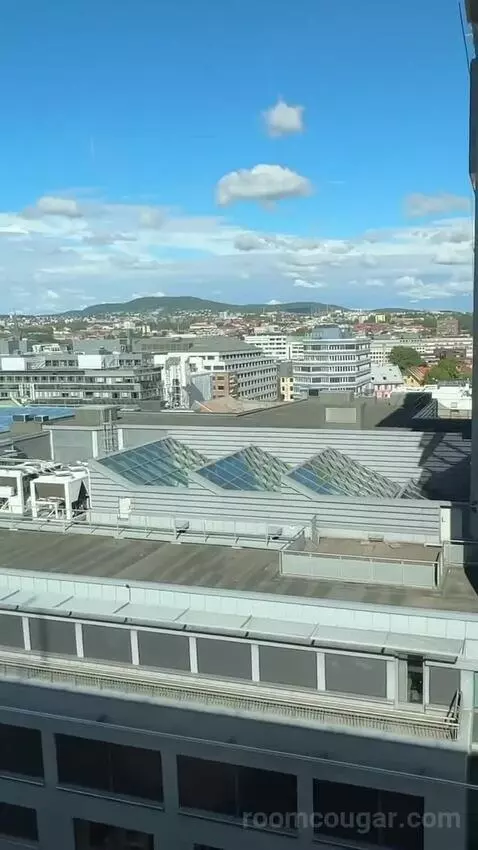 Standard Double or Twin Room view picture #4
