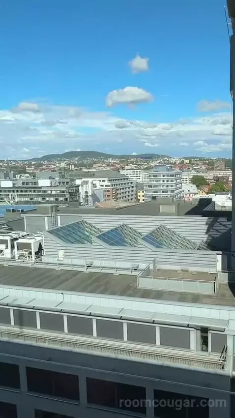 Standard Double or Twin Room view picture #5