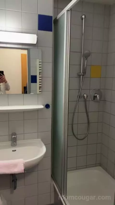 Double Room bathroom picture #4