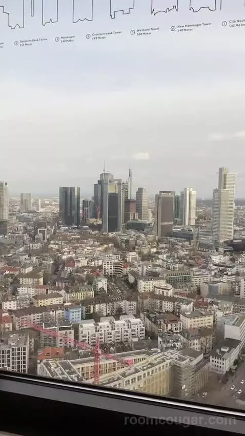 Skyline View, Guest Room, 2 Twin, High Floor view picture #5