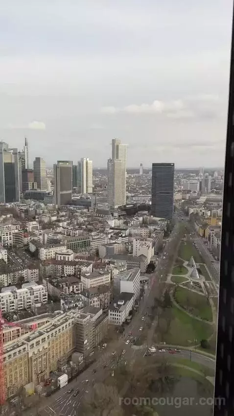 Skyline View, Guest Room, 2 Twin, High Floor view picture #7