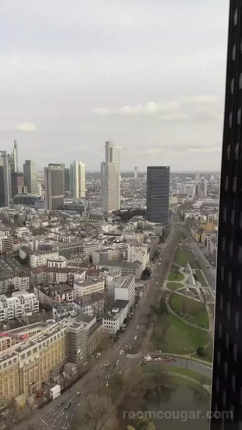 Skyline View, Guest Room, 2 Twin, High Floor view picture #8