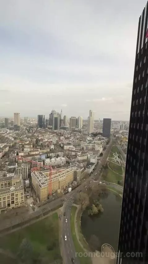 Skyline View, Guest Room, 2 Twin, High Floor view picture #3