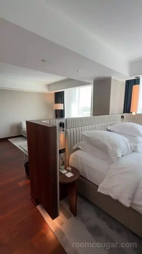 Panoramic Suite, Suite, 1 King bed picture #5