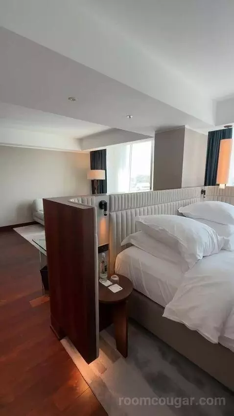 Panoramic Suite, Suite, 1 King bed picture #6