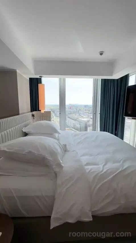 Panoramic Suite, Suite, 1 King bed picture #7