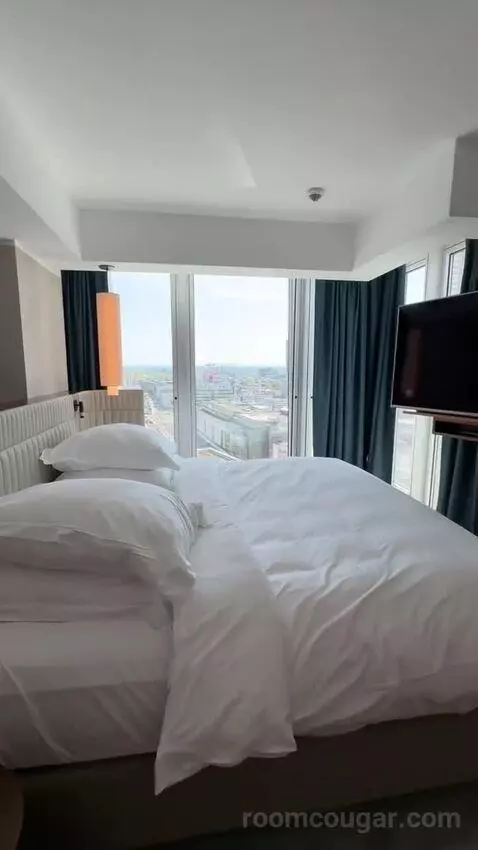 Panoramic Suite, Suite, 1 King bed picture #8